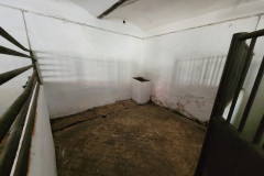 boxy_2